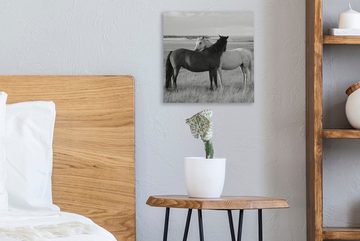 OneMillionCanvasses® Leinwandbild Pferde - Tiere - Porträt - Schwarz-Weiß - Landleben, (1 St), Leinwand Bilder für Wohnzimmer Schlafzimmer