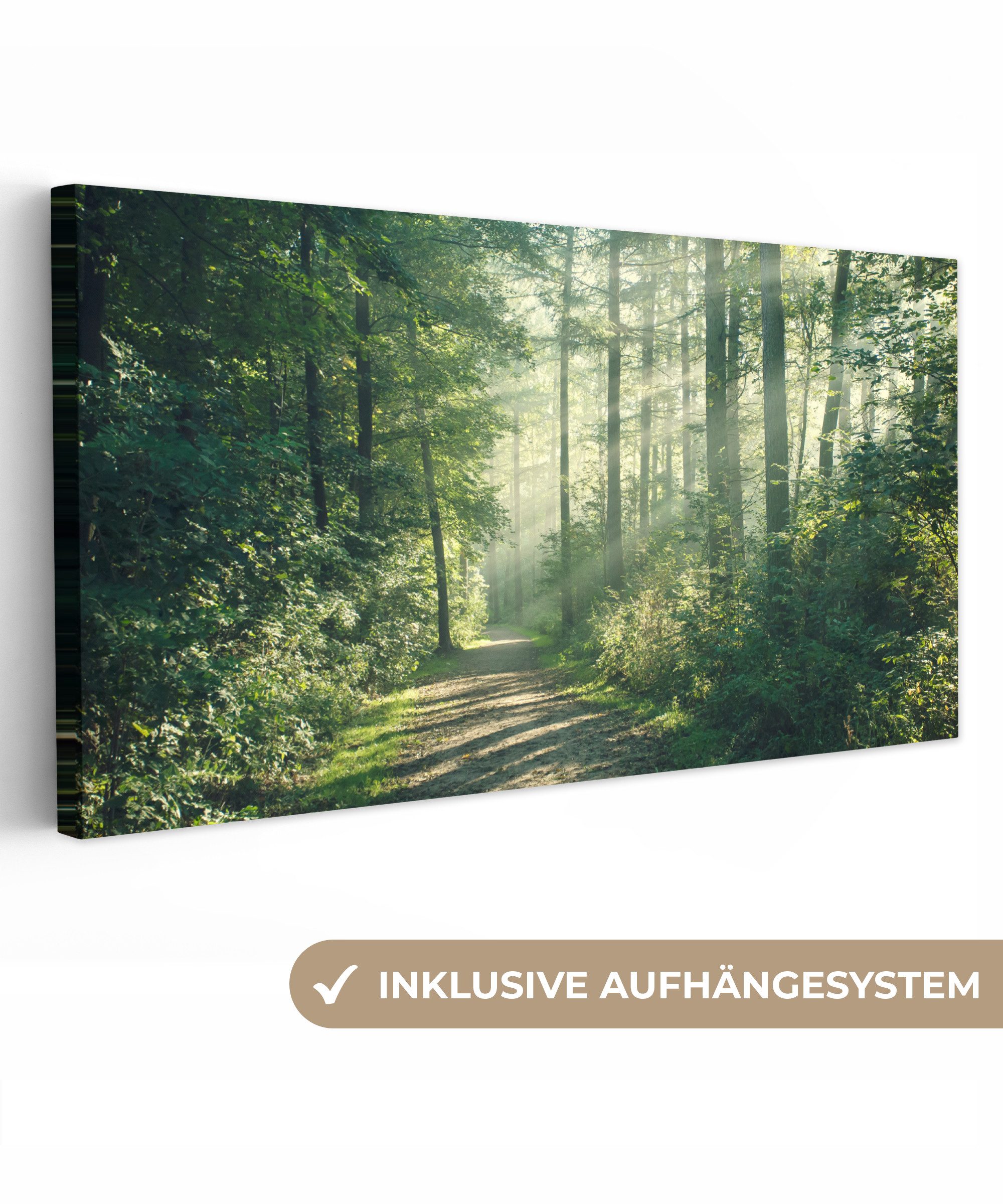 OneMillionCanvasses® Leinwandbild Panorama Wald - Weg - Sonne - Bäume - Grü günstig online kaufen