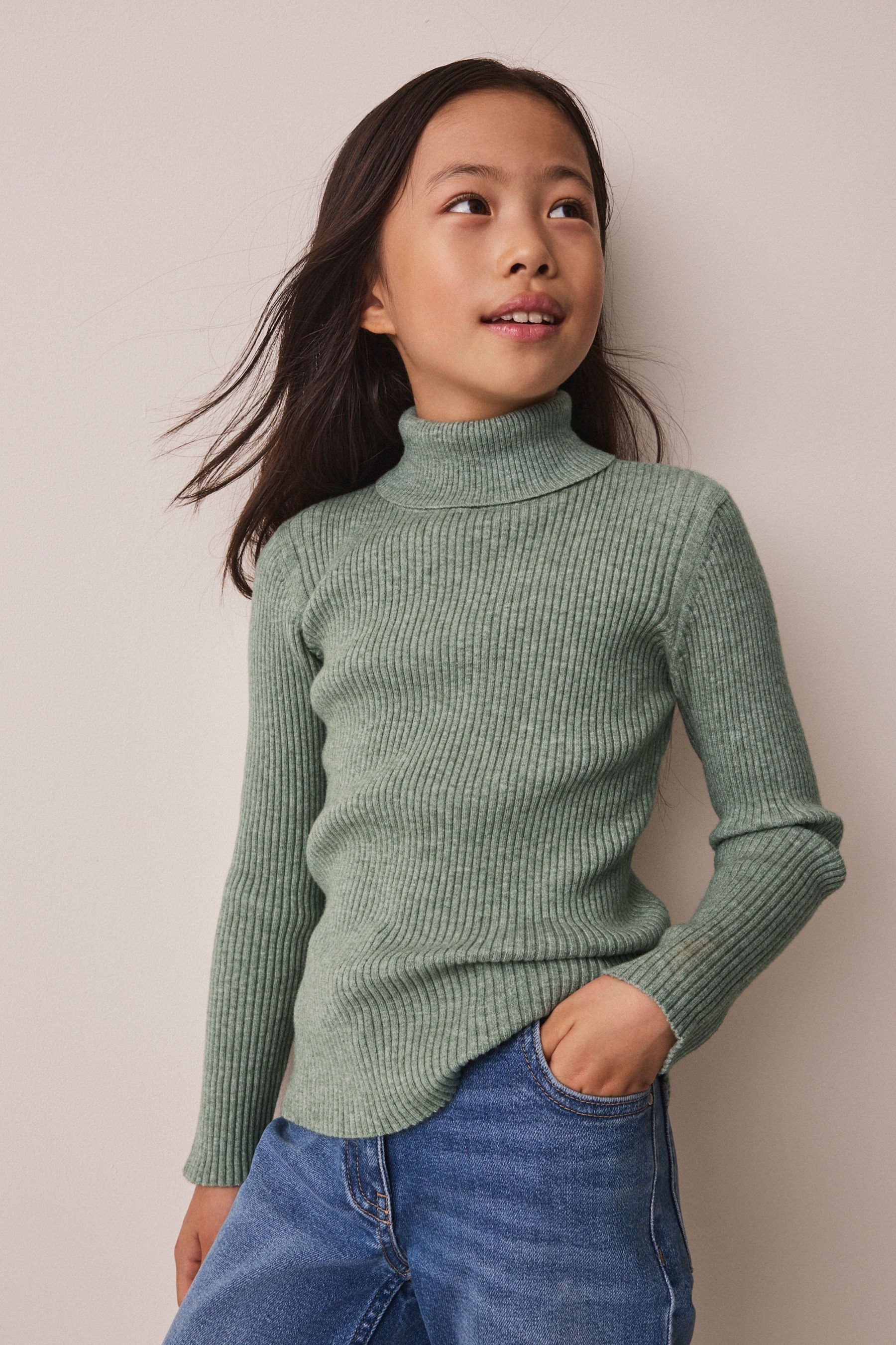 Next Strickpullover Rollkragenpullover (1-tlg)