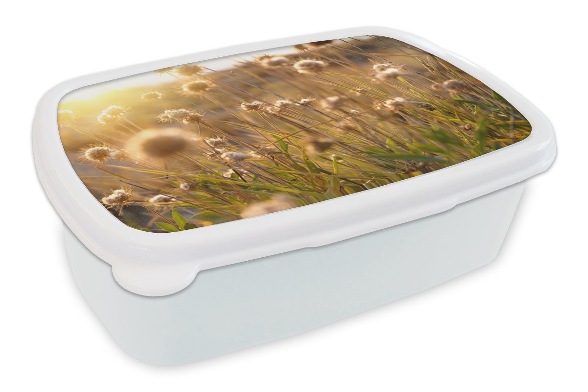 MuchoWow Lunchbox Pflanzen - Natur - Blumen - Sonne - Horizont, Kunststoff, (2-tlg), Brotbox für Kinder und Erwachsene, Brotdose, für Jungs und Mädchen weiß