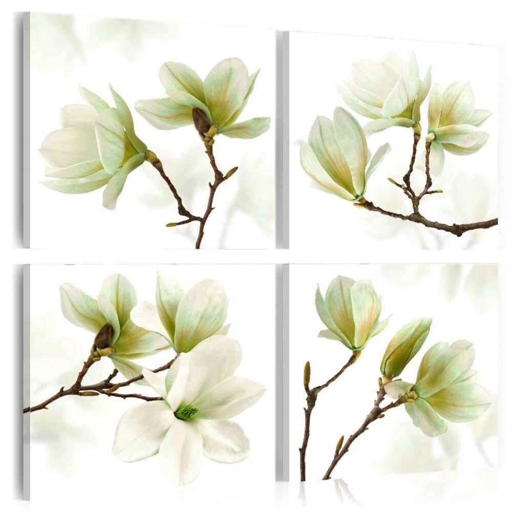 Wandbild Bewunderung der Magnolie