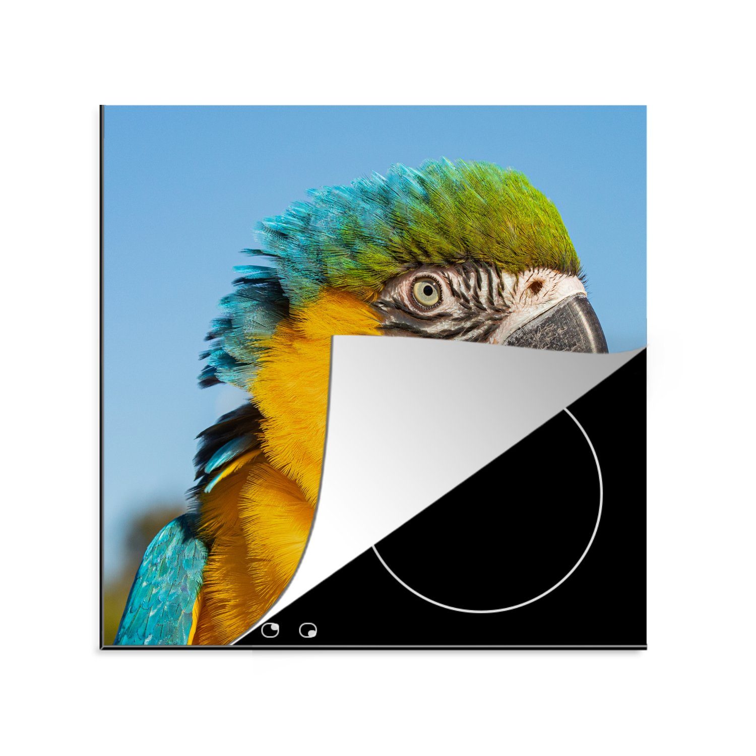 MuchoWow Herdblende-/Abdeckplatte Nahaufnahme eines Papageis mit buntem Gefieder, Vinyl, (1 tlg), 78x78 cm, Ceranfeldabdeckung, Arbeitsplatte für küche