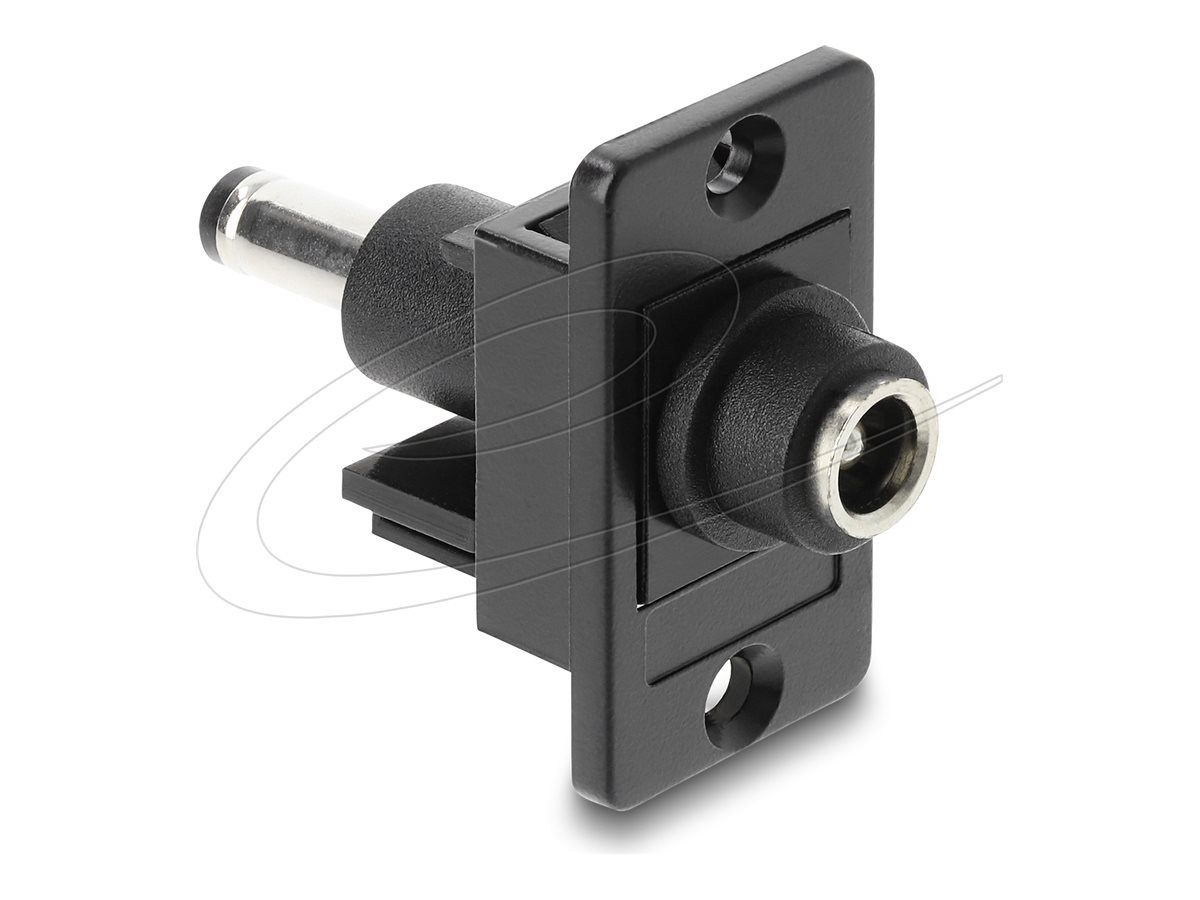 Delock Adapter