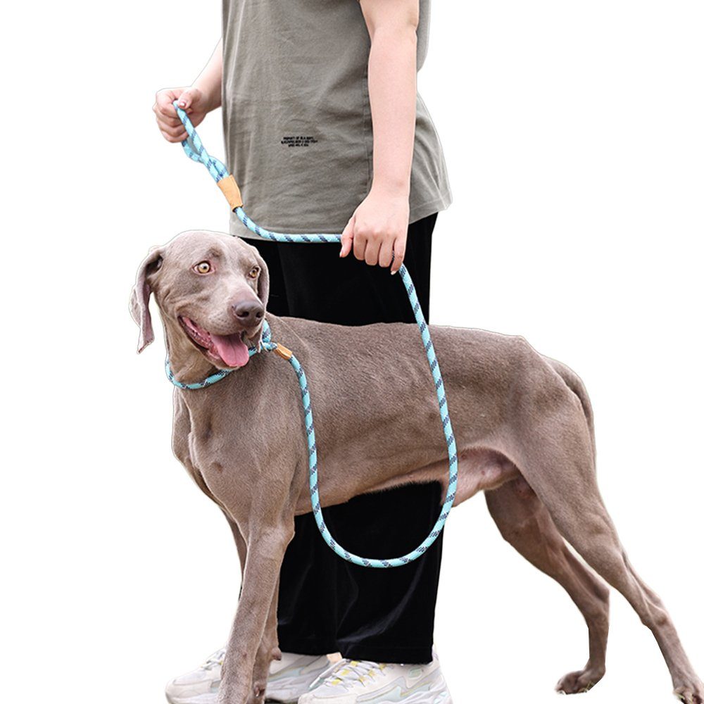 LAPA HOME Hundeleine Nylon Trainingsleine Hunde Schleppleine mit ...