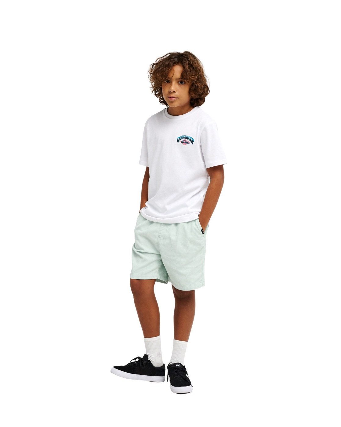 Quiksilver T-Shirt Palm Horizon