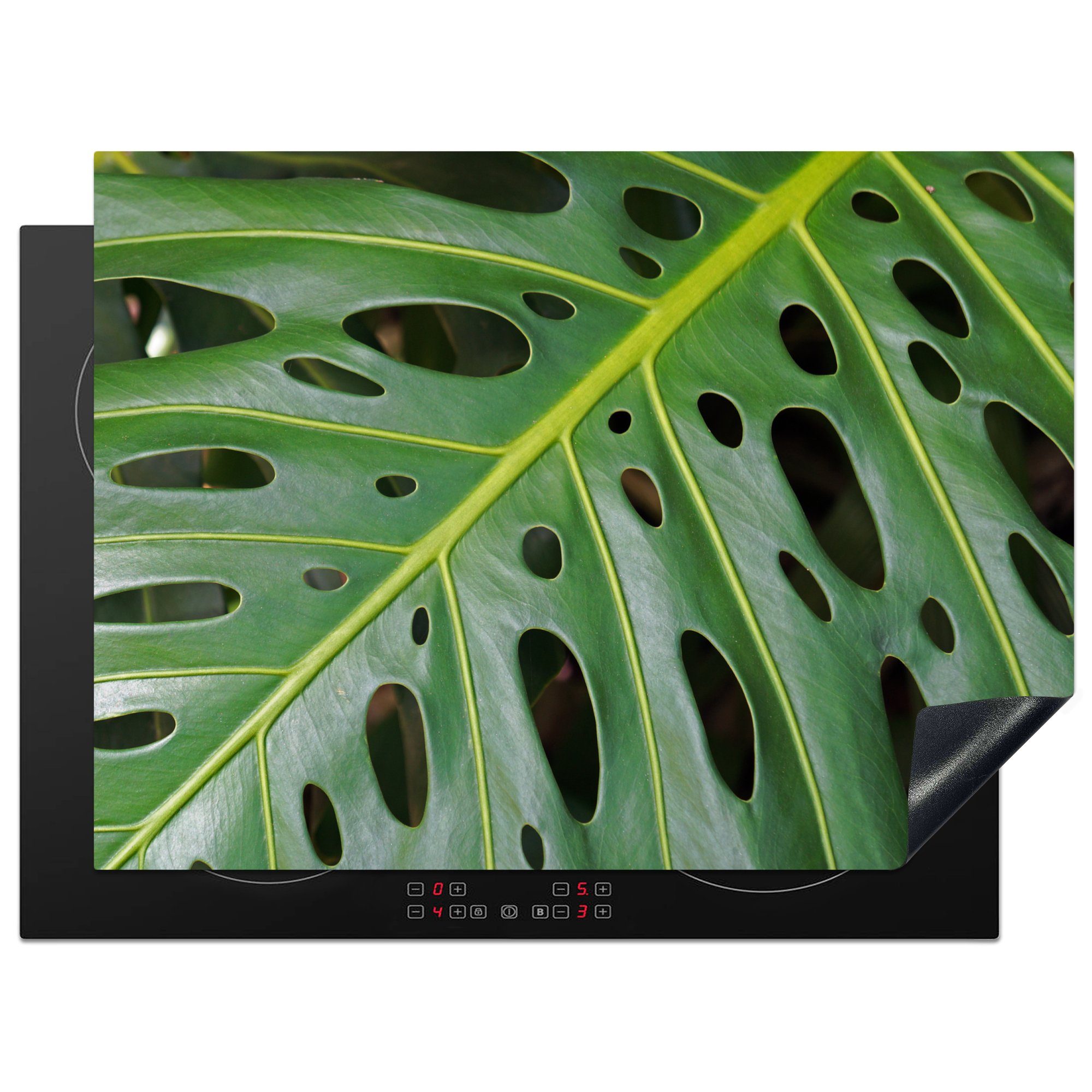 MuchoWow Herdblende-/Abdeckplatte Impression eines grünen und botanischen Blattes, Vinyl, (1 tlg), 70x52 cm, Mobile Arbeitsfläche nutzbar, Ceranfeldabdeckung