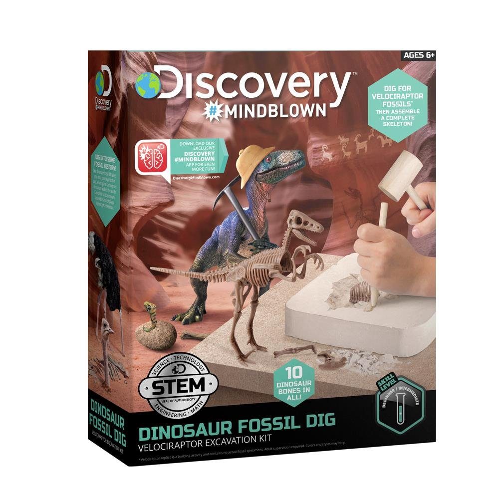 Discovery Lernspielzeug Mindblown Dinosaurier Fossil Ausgrabungsset Velociraptor, Skelett für Kinder ab 6 Jahren