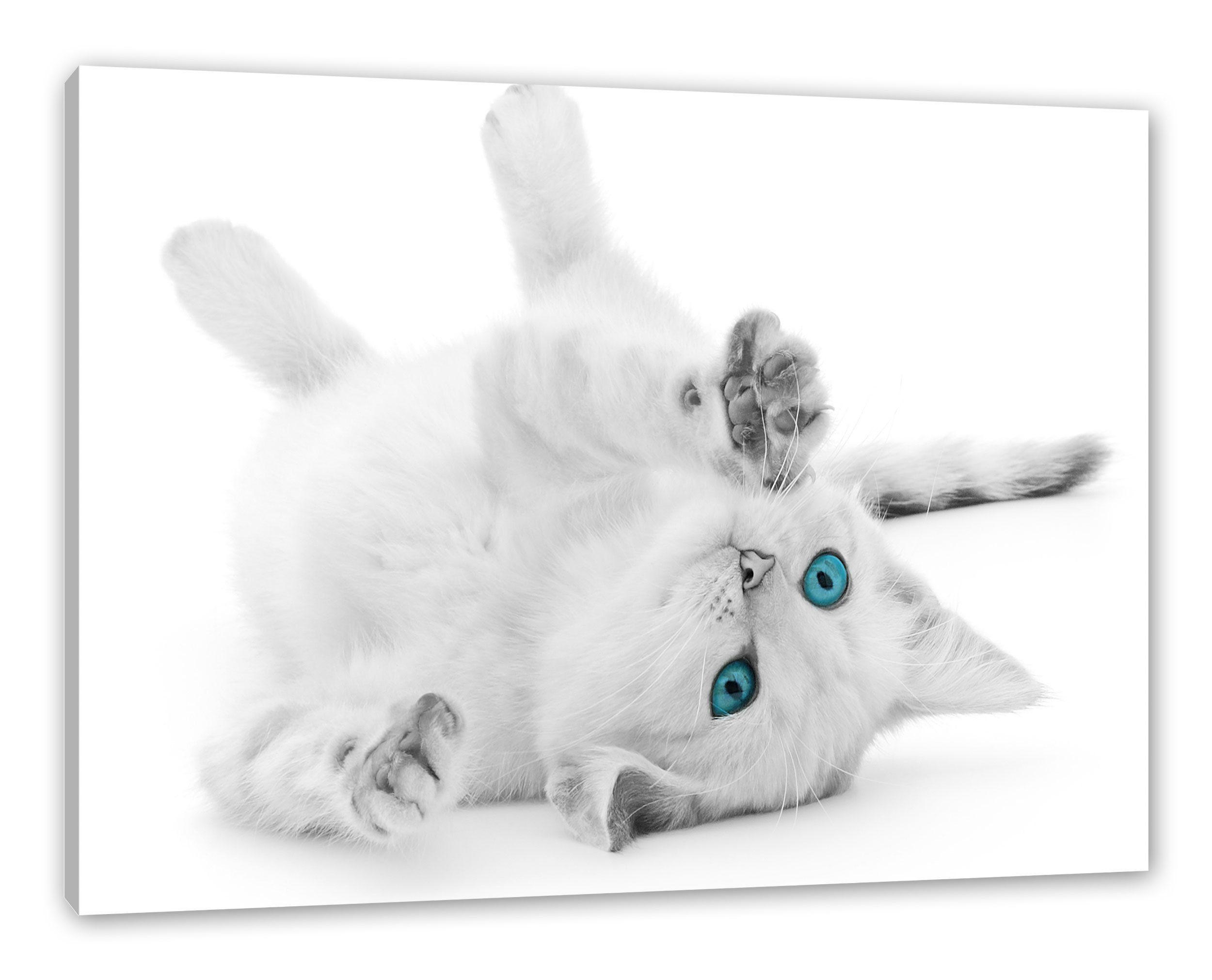 Pixxprint Leinwandbild Katze mit Augen, Katze mit Augen (1 St), Leinwandbild fertig bespannt, inkl. Zackenaufhänger