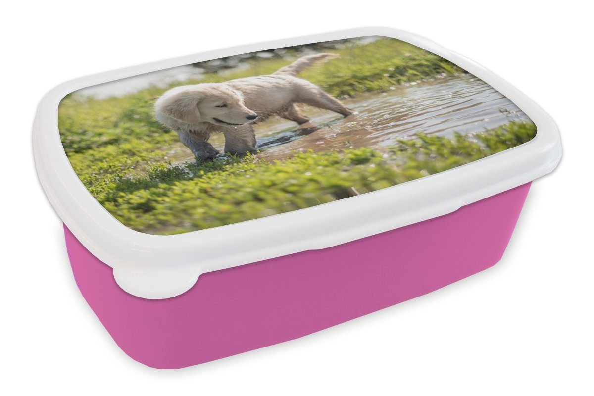 MuchoWow Lunchbox Welpe spielt in einem Teich, Kunststoff, (2tlg