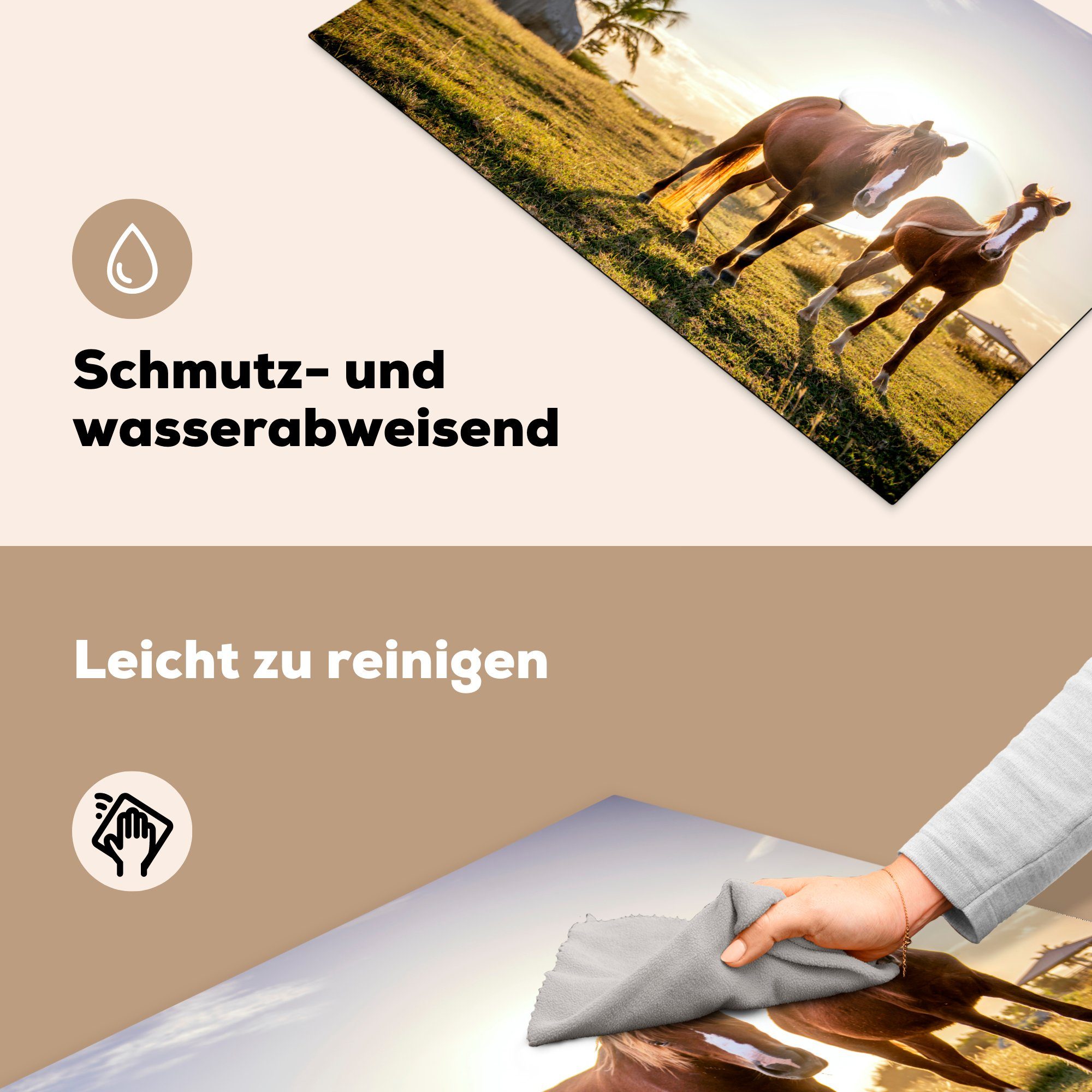 81x52 - cm, für die Gras, Induktionskochfeld (1 Schutz Pferde tlg), Herdblende-/Abdeckplatte küche, MuchoWow - Vinyl, Sonne Ceranfeldabdeckung