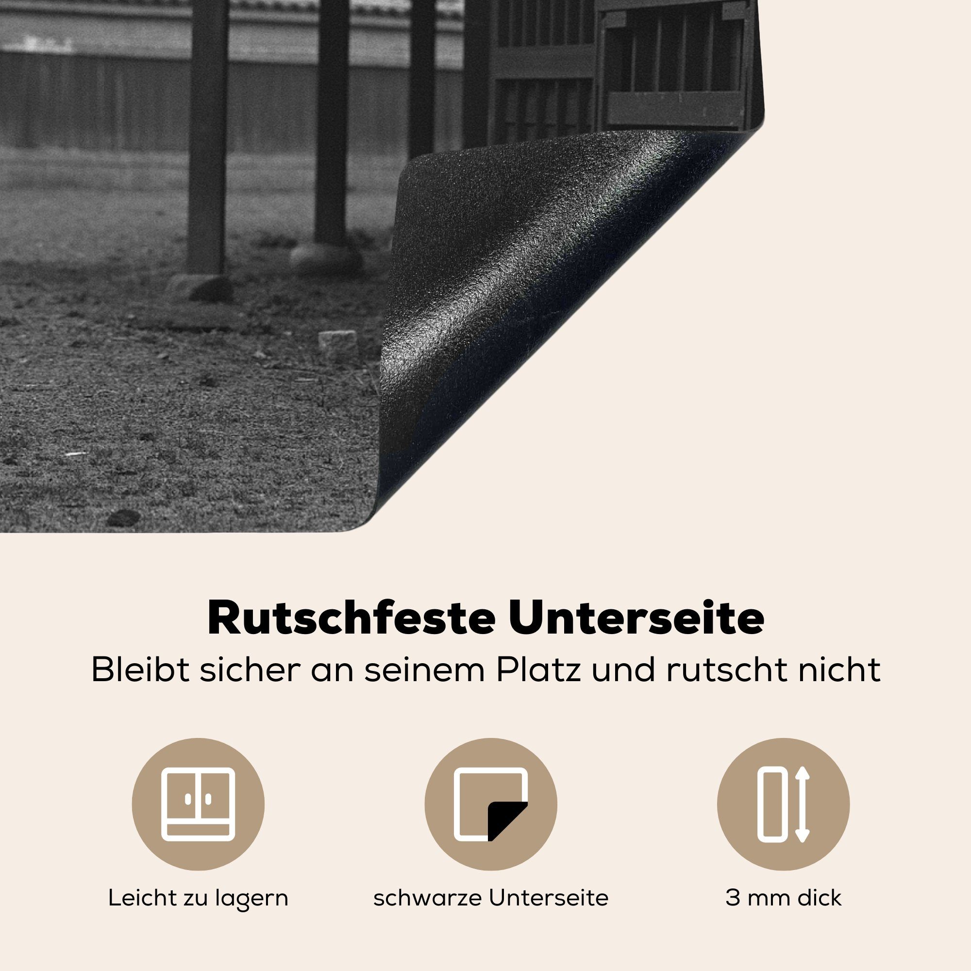 eines tlg), Induktionskochfeld für Vinyl, Schwarz-Weiß-Foto Samurai, Ceranfeldabdeckung Herdblende-/Abdeckplatte die (1 71x52 küche, laufenden MuchoWow cm, Schutz