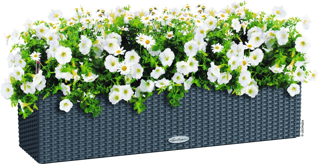 Lechuza® Blumenkasten Lechuza Balkonkasten BALCONERA Cottage 80 cm
