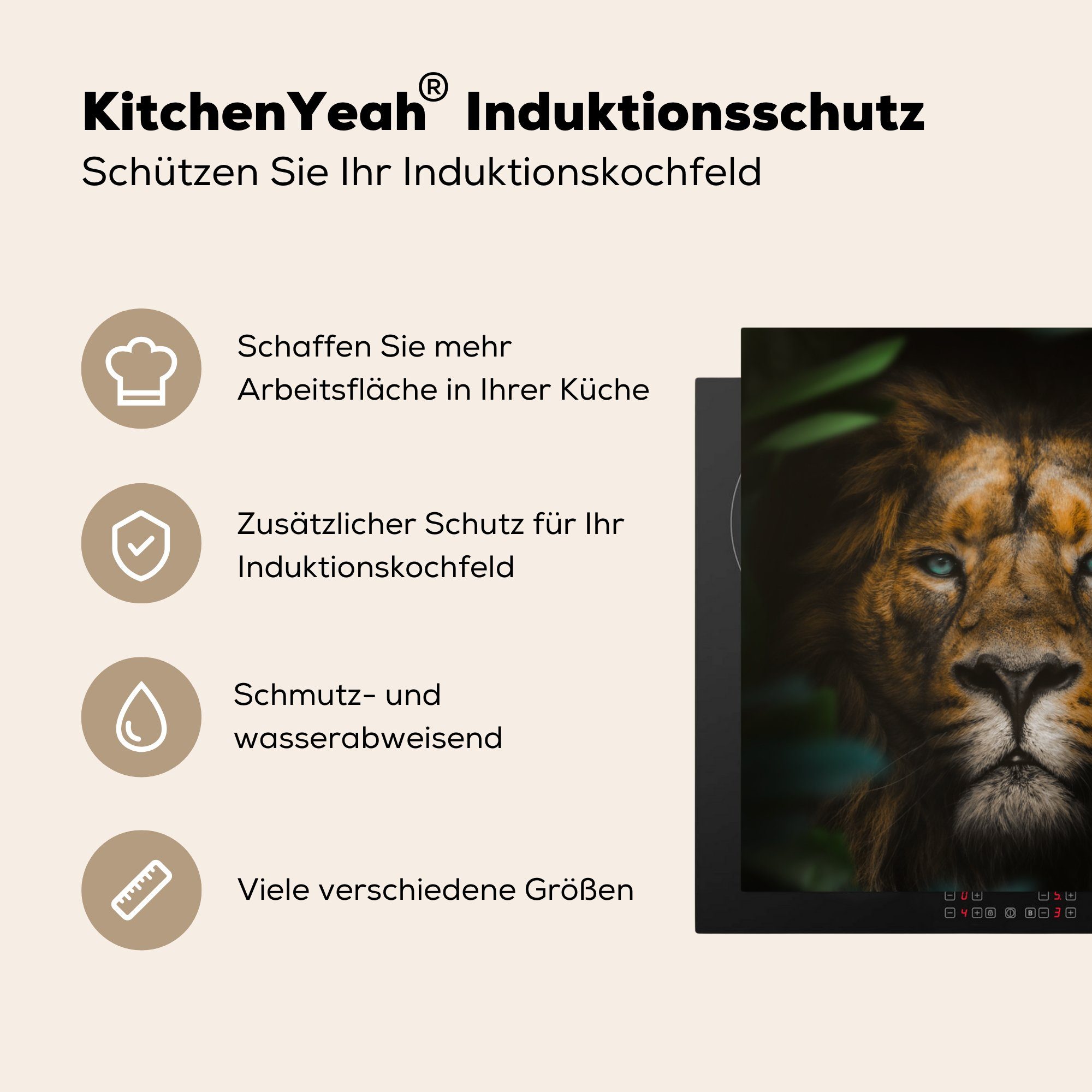 tlg), - Wilde Arbeitsplatte 78x78 Vinyl, Löwe Tiere, Herdblende-/Abdeckplatte cm, MuchoWow Tiere - (1 küche Ceranfeldabdeckung, für