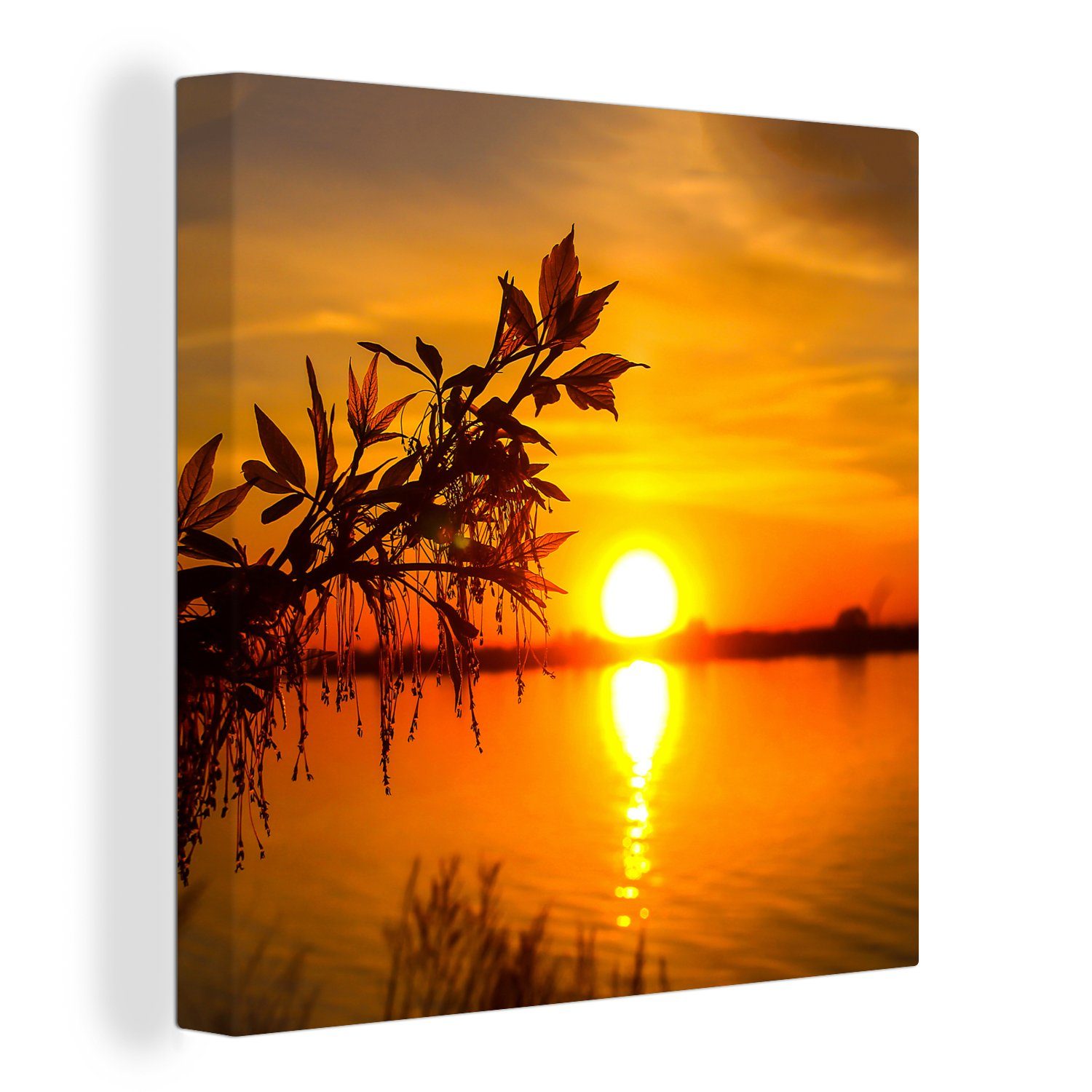 OneMillionCanvasses® Leinwandbild Sonnenuntergang - Wasser - Pflanzen - Orange, Fotodruck (1 St), Wandbild, Deko Schlafzimmer Wohnzimmer Flur 20x20 cm