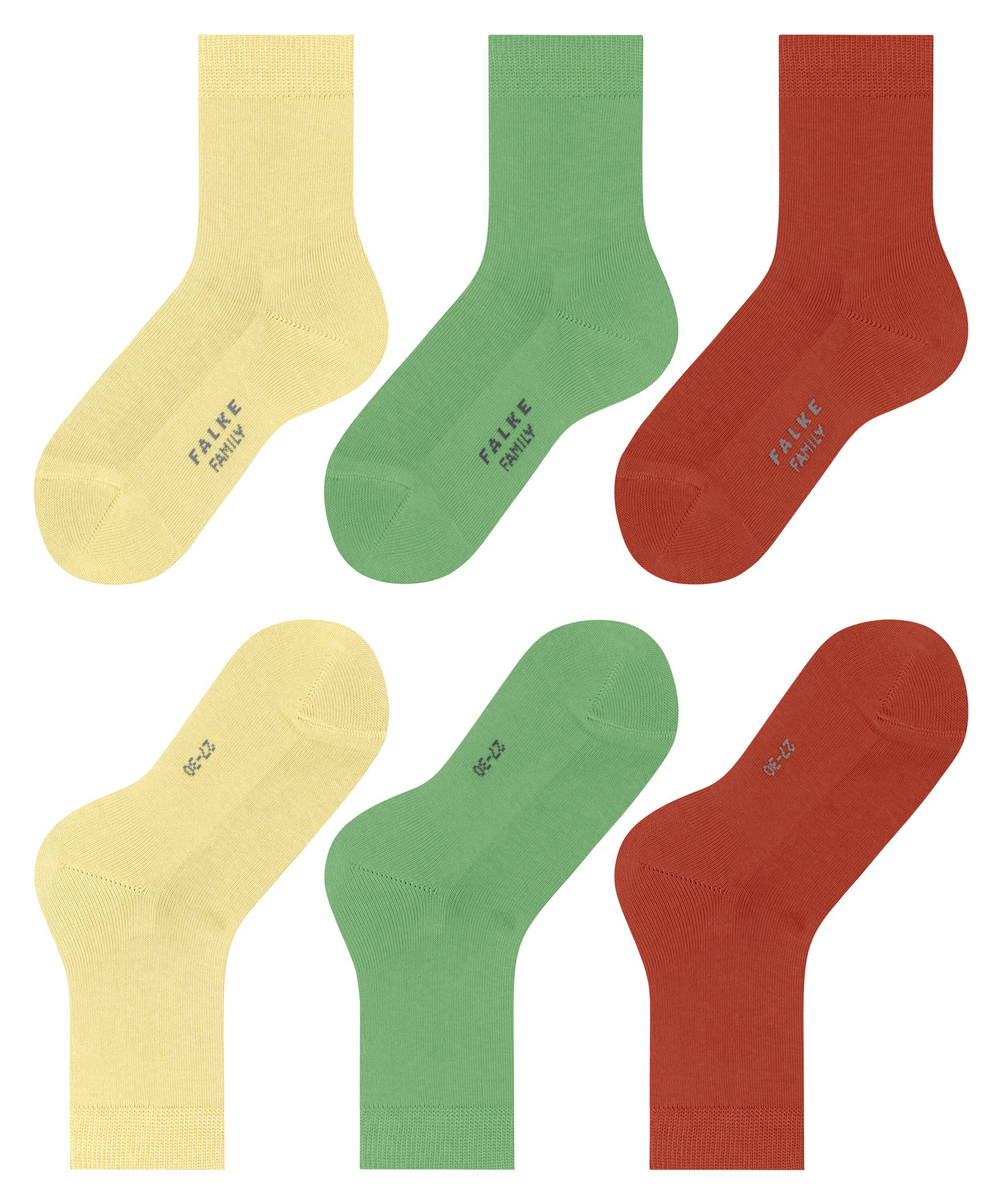 Mixed (3-Paar) FALKE Socken 3-Pack Family (0040) sortiment