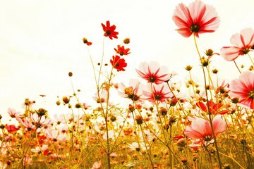 A.S. Création Leinwandbild Flower Meadow, Blumen (1 St), Mohnblume Keilrahmen Blumenwiese