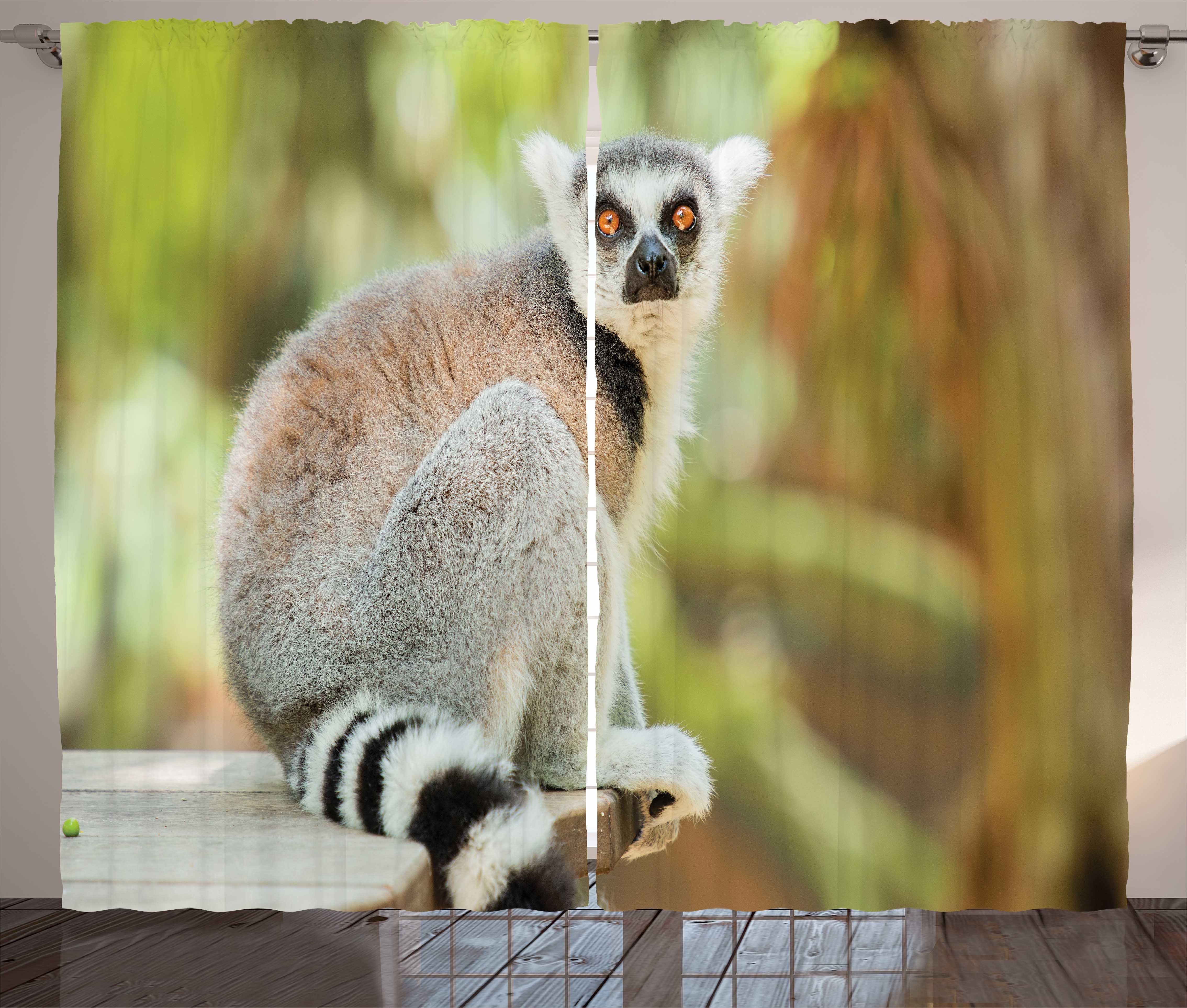 Gardine Schlafzimmer Kräuselband Vorhang Schlaufen Tier Haken, Lemur Foto Abakuhaus, Aperture Säugetier und mit