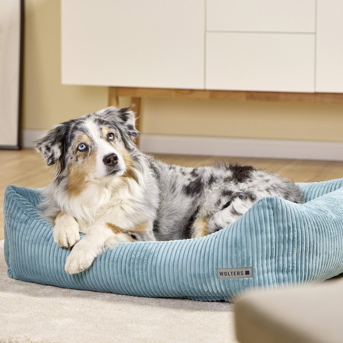 Wolters Tierbett Kilian Cord Lounge Eisblau