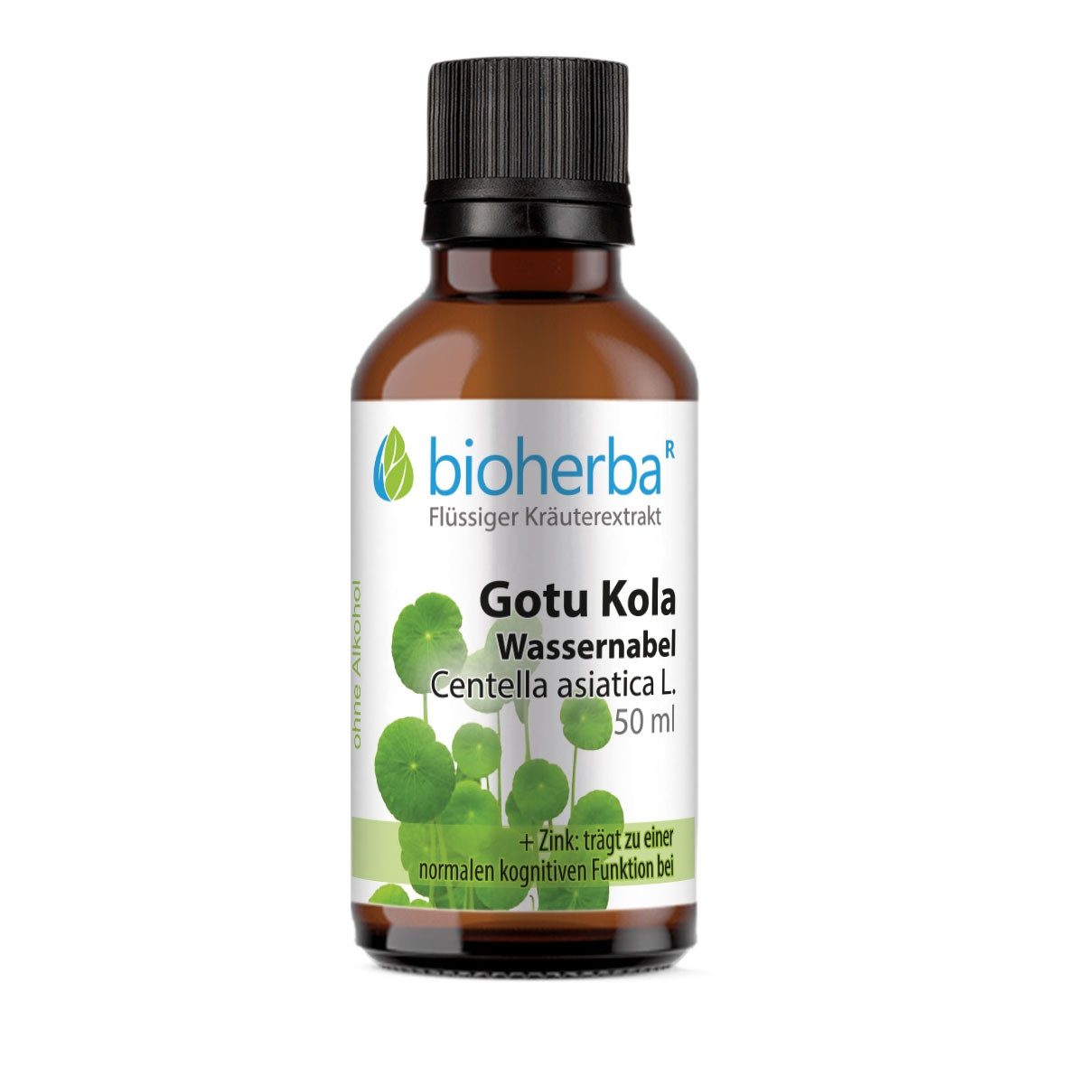 Gotu Kola Wassernabel Tropfen Tinktur 50 ml TINKTUREN