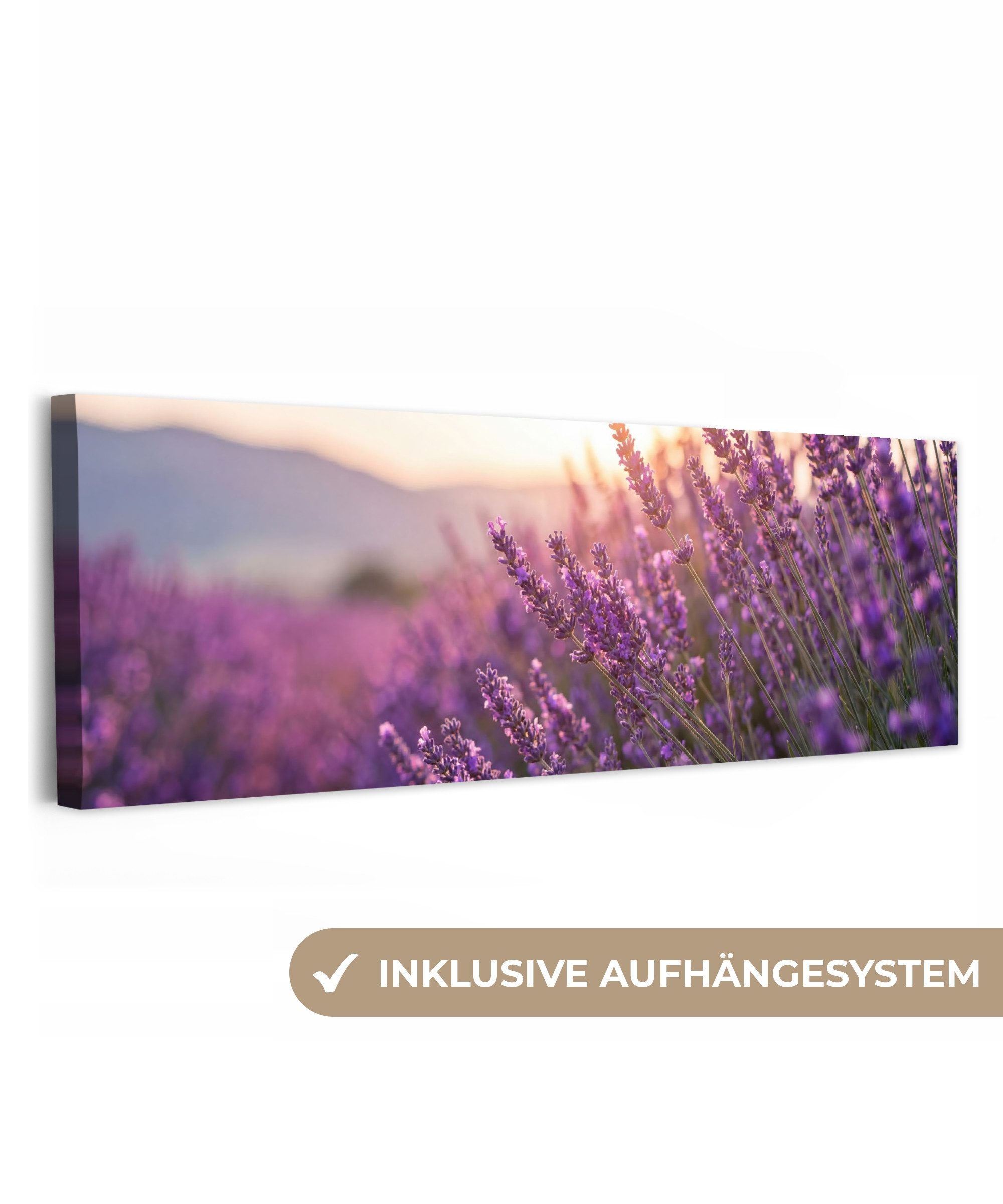 OneMillionCanvasses® Leinwandbild Panorama Lavendel - Lila - Sonnenlicht, Fotodruck (1 St), Wandbild, Deko Schlafzimmer Wohnzimmer Flur 60x20 cm