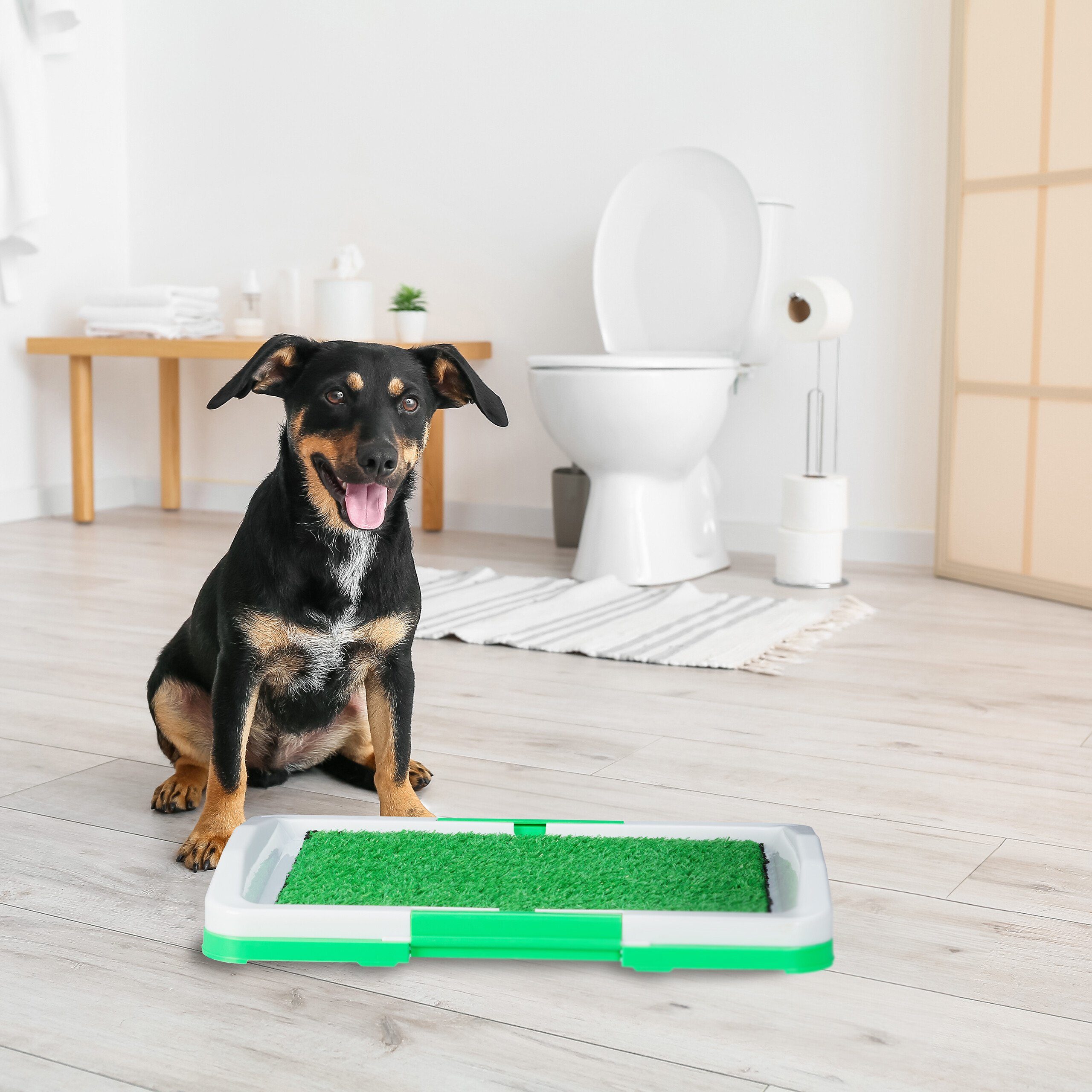 relaxdays Hundetoilette Hundeklo mit Rasen