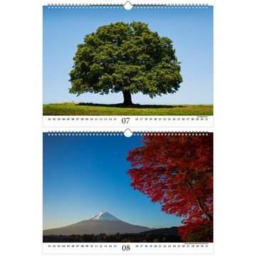 Seelenzauber ewige Kalender Baumzauber DIN A3 - Immerwährender Kalender Baum, Bäume und Wald -