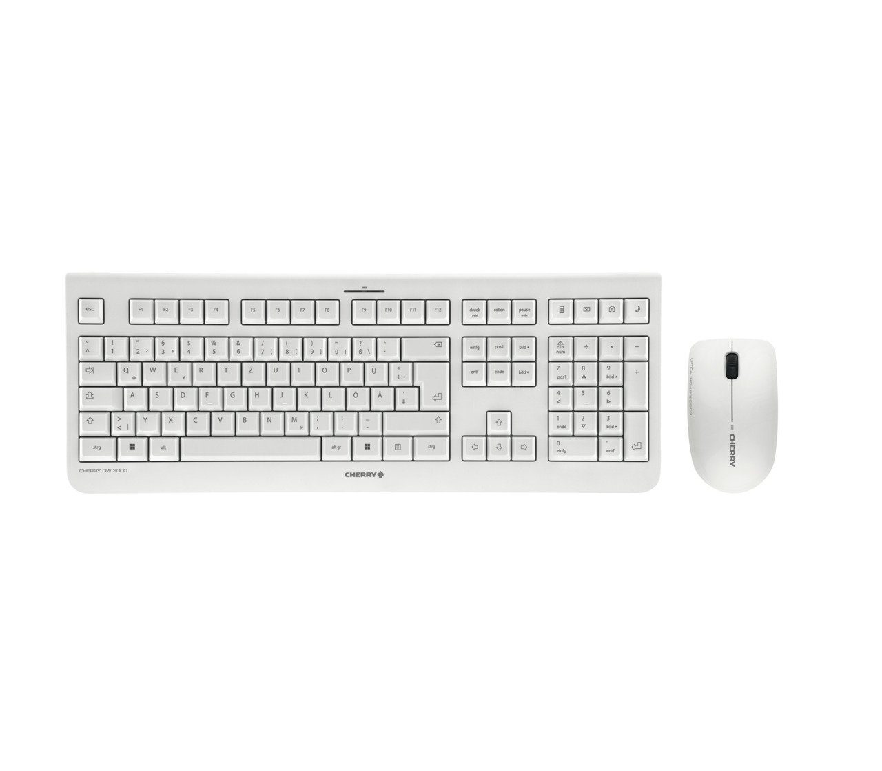 DW 3000 Tastatur- und Maus-Set