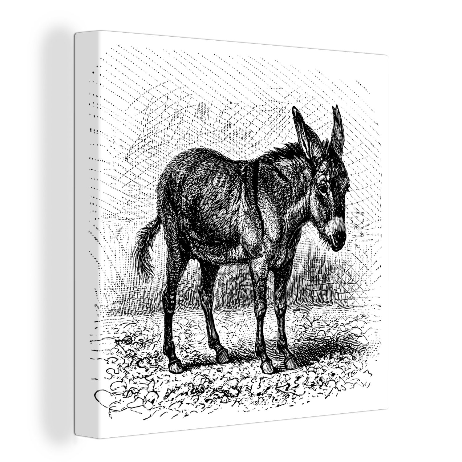 OneMillionCanvasses® Leinwandbild Eine Illustration eines Esels, (1 St), Leinwand Bilder für Wohnzimmer Schlafzimmer
