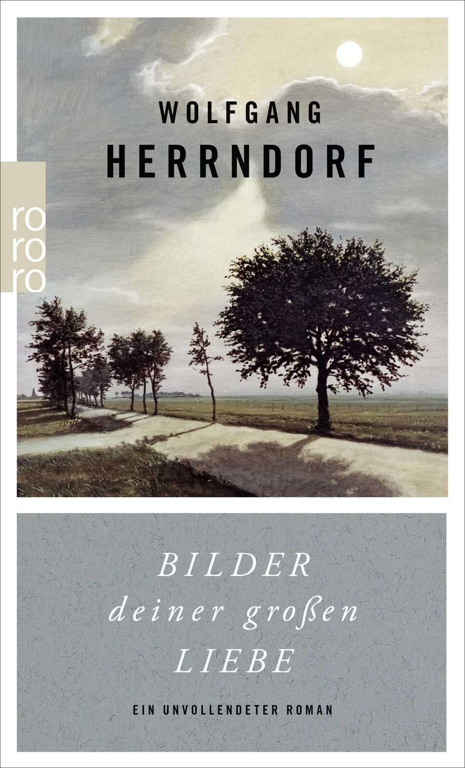 Bilder deiner großen Liebe / Wolfgang Herrndorf