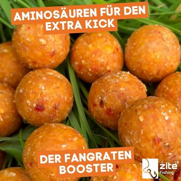 Zite Fischlockstoff Boilies 20 mm 8er Set - Starke Lockwirkung & Wohldosierte Aminosäuren