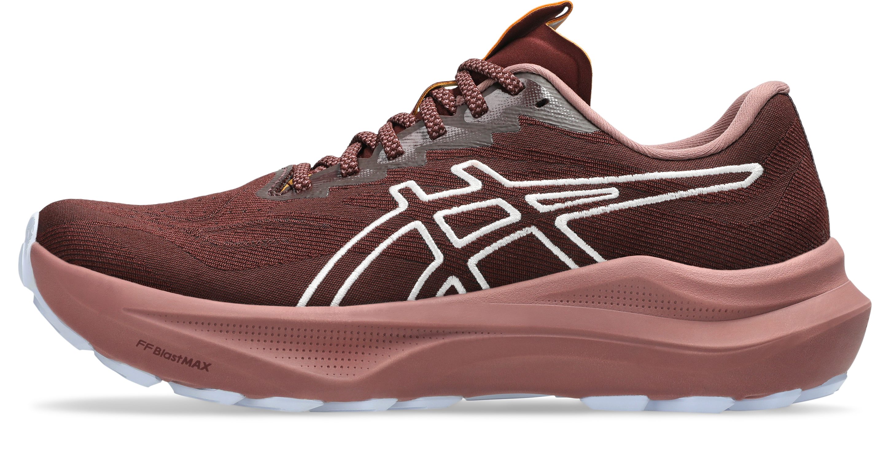 Asics GT-2000 14 TR Laufschuh für günstig online kaufen