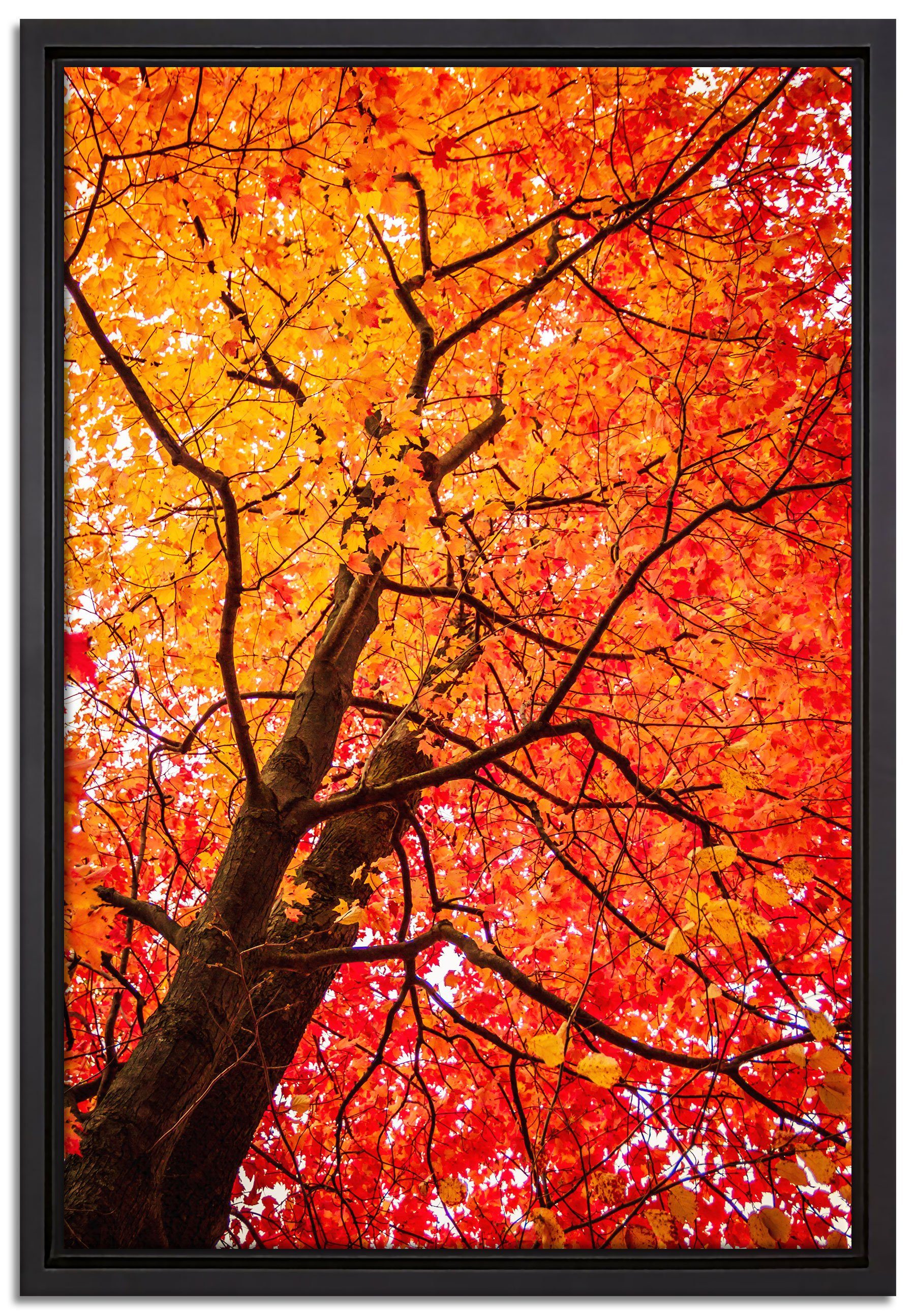 Pixxprint Leinwandbild Feurige Herbstblätter, Wanddekoration (1 St), Leinwandbild fertig bespannt, in einem Schattenfugen-Bilderrahmen gefasst, inkl. Zackenaufhänger