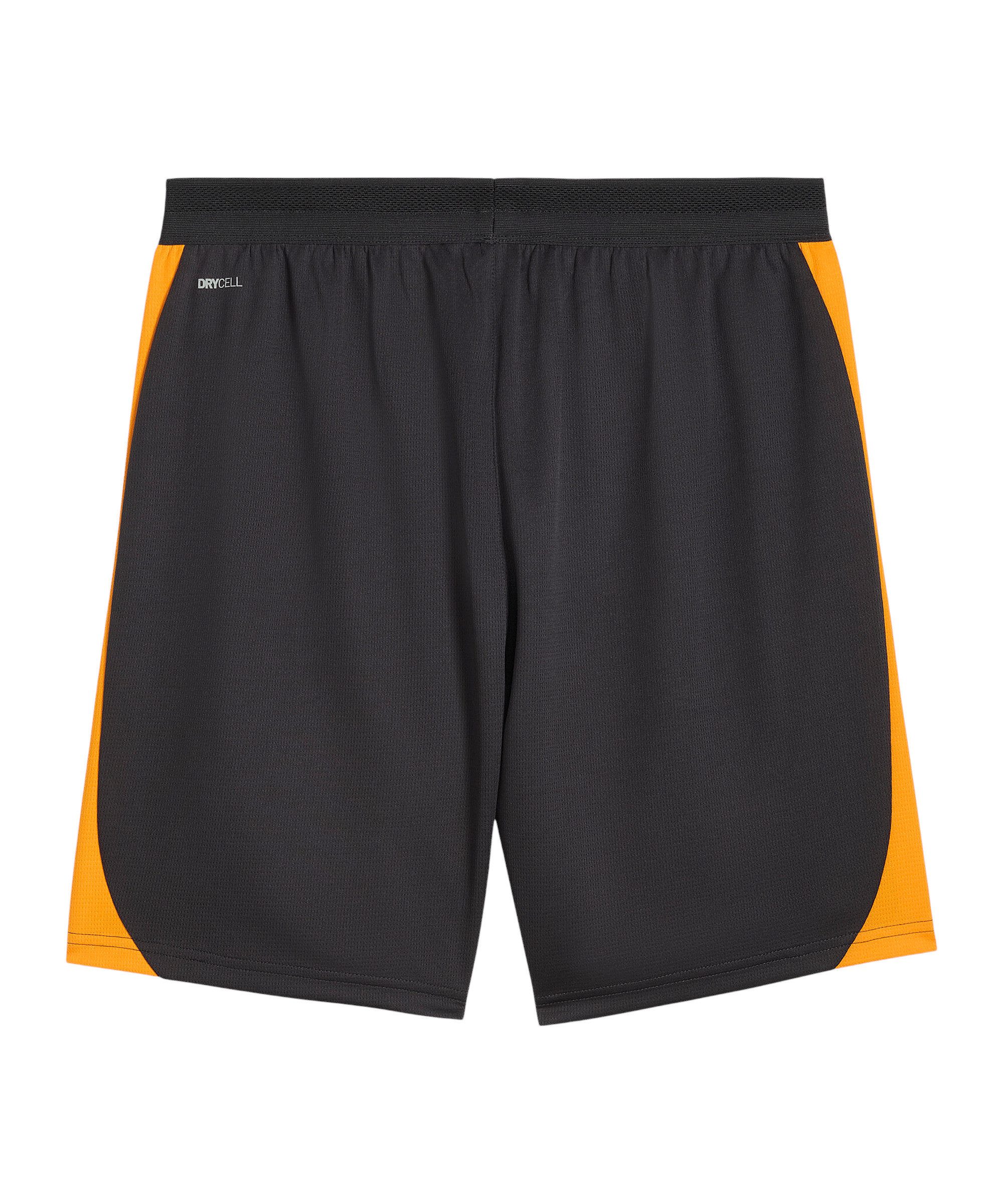 PUMA Sporthose PUMA Galatasaray Istanbul Training Short Shorts