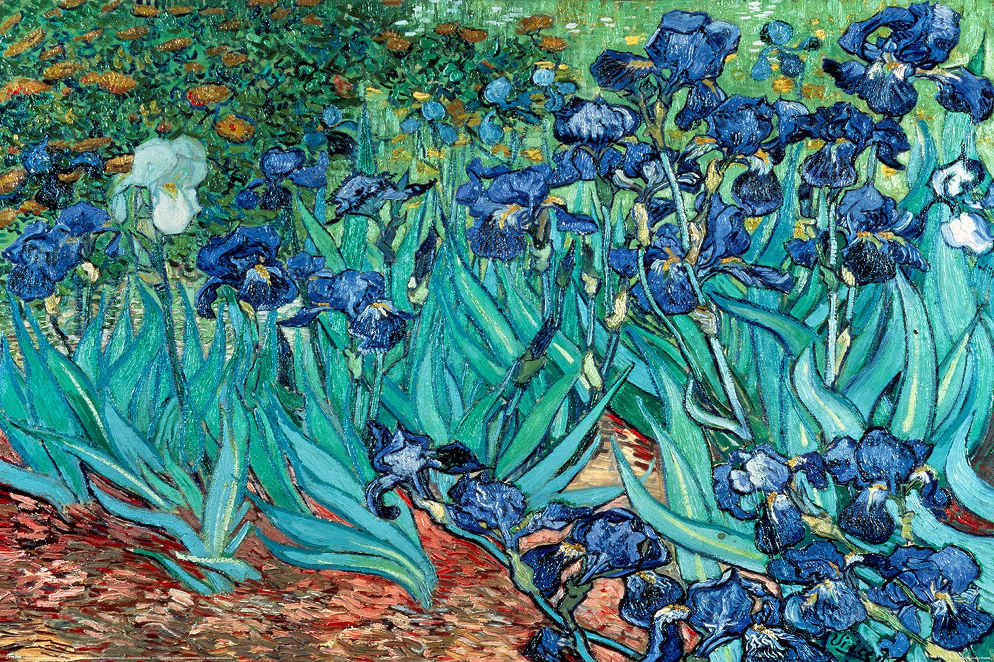 Poster Van Gogh - Poster - Les Irises