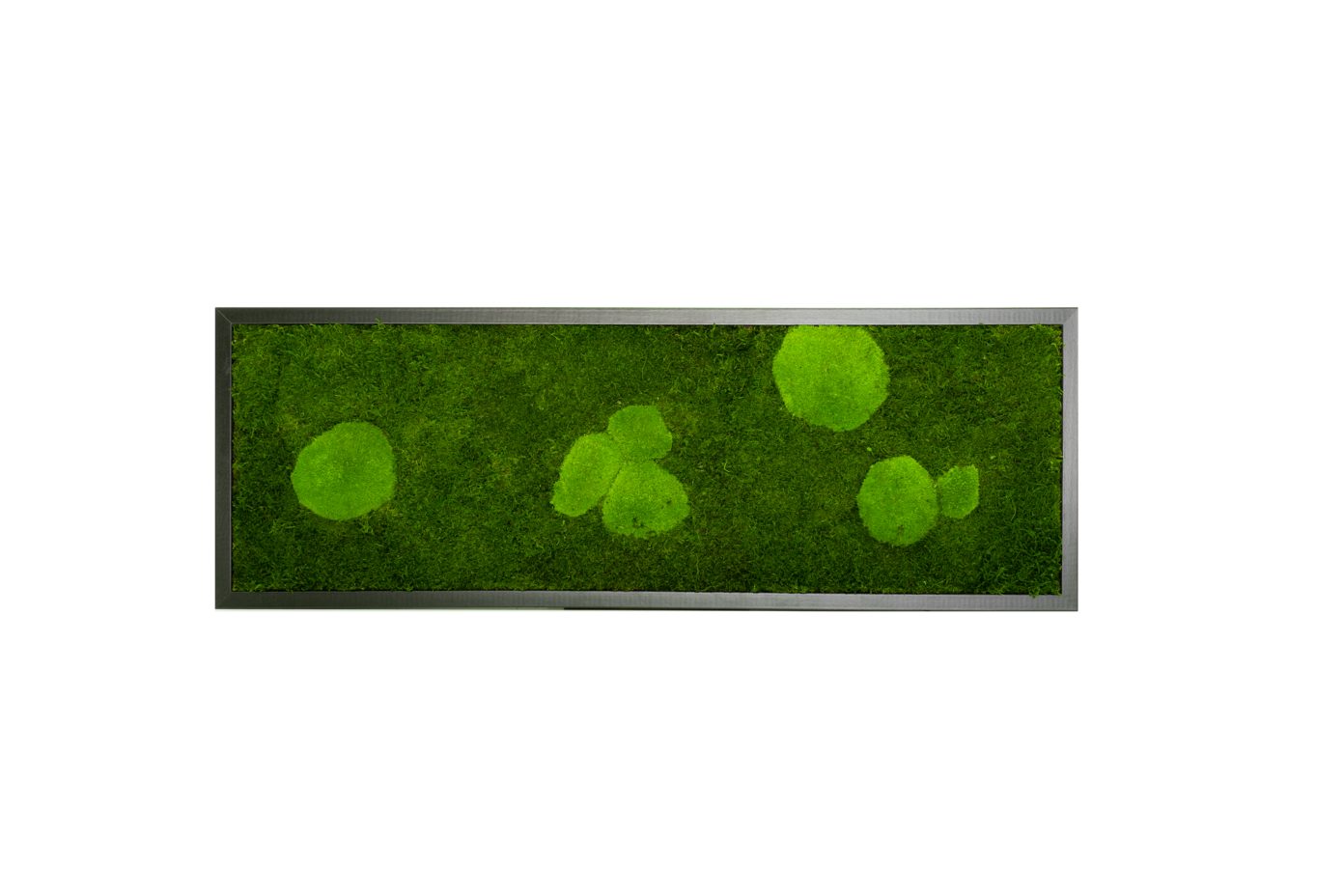 Moos-Design Bilderrahmen Moos Bild Forest Design günstig online kaufen