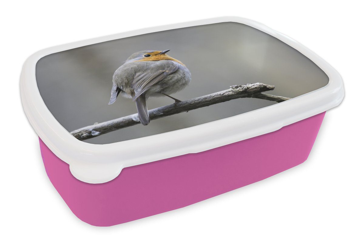 MuchoWow Lunchbox Rotkehlchen - Zweig - Winter, Kunststoff, (2-tlg), Brotbox für Erwachsene, Brotdose Kinder, Snackbox, Mädchen, Kunststoff rosa