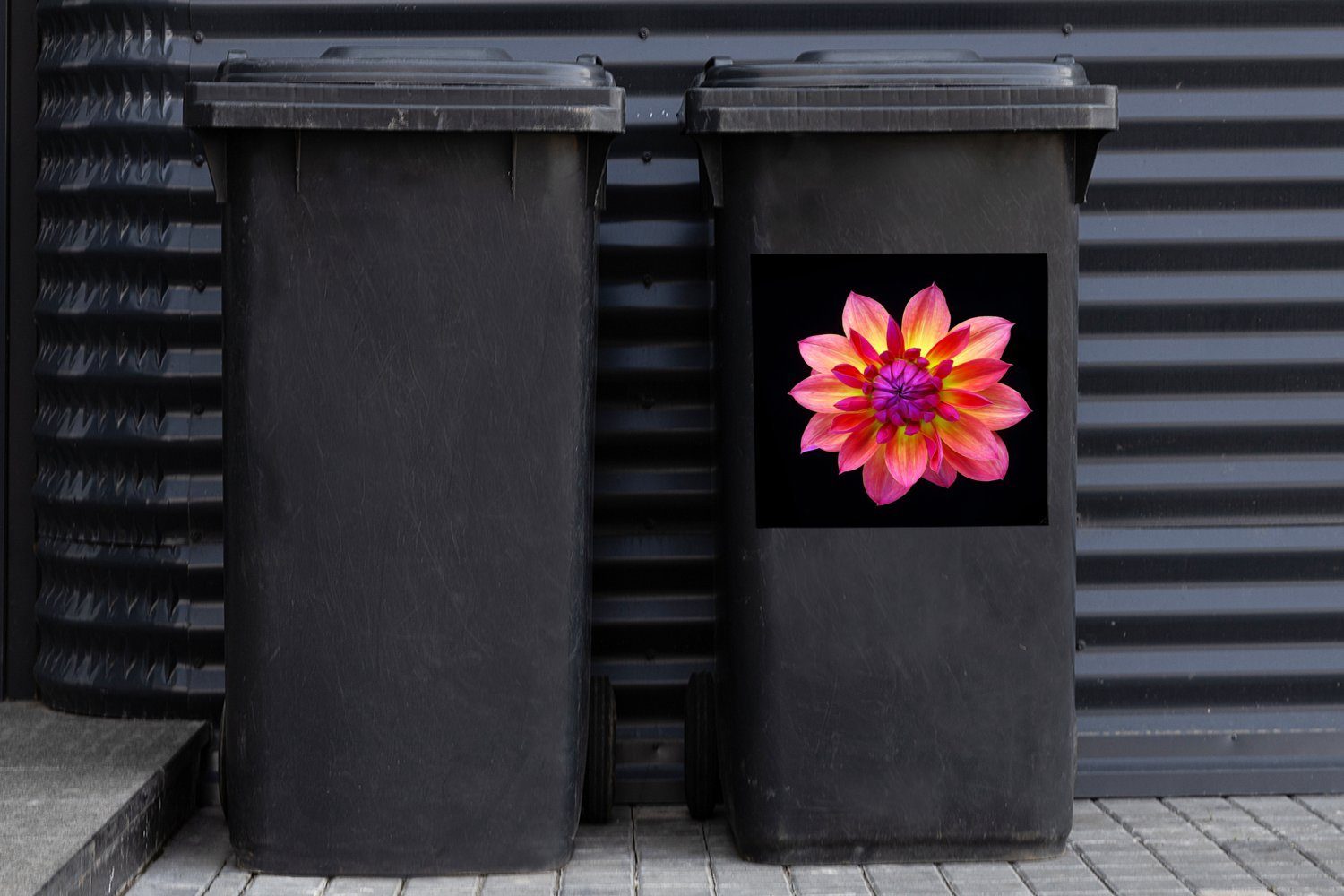 schwarzem mehrfarbigen (1 auf Abfalbehälter Sticker, Dahlienblüte Eine MuchoWow Container, Mülleimer-aufkleber, Nahaufnahme St), der Wandsticker Mülltonne,