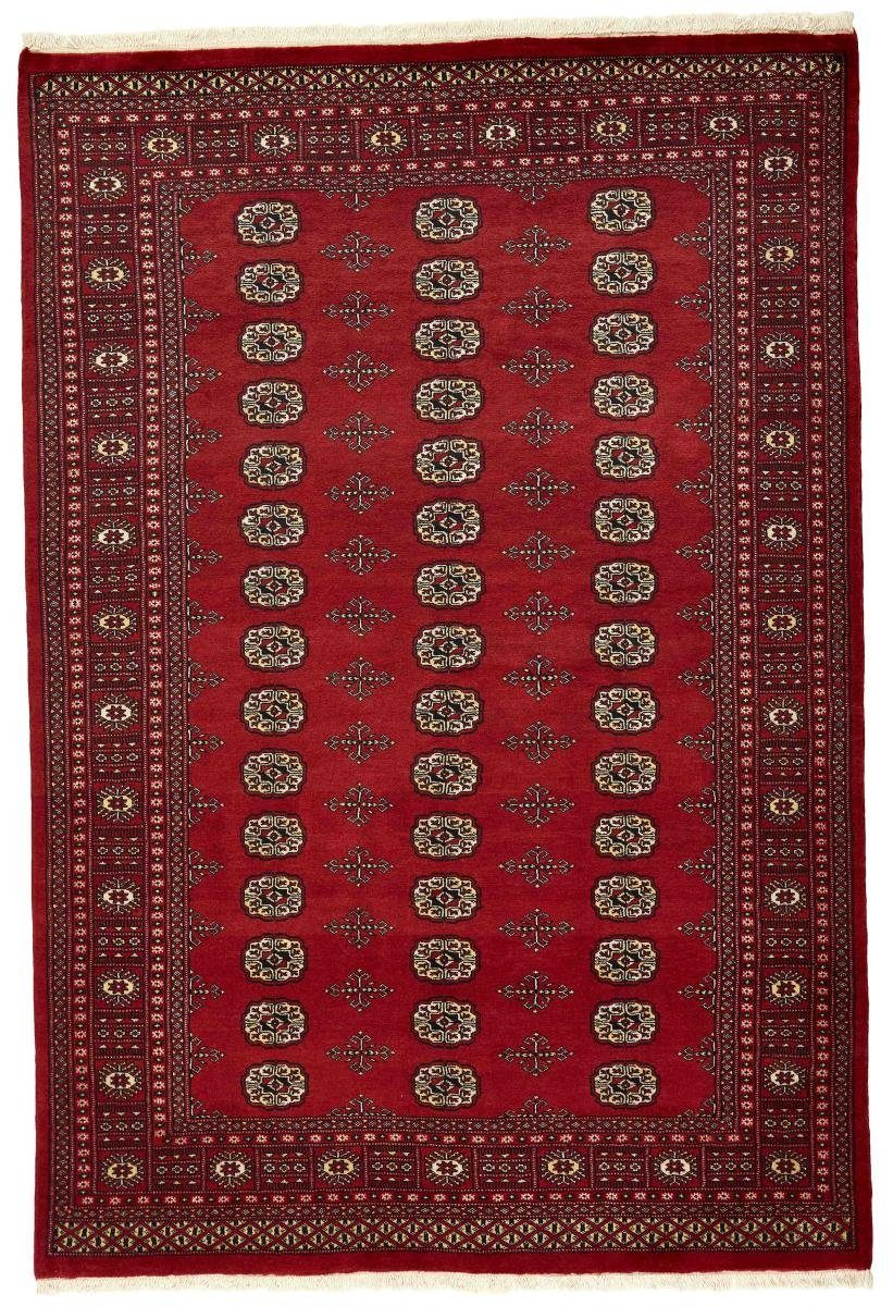 Orientteppich Pakistan Buchara 2ply 173x253 Handgeknüpfter Orientteppich, Nain Trading, rechteckig, Höhe: 8 mm