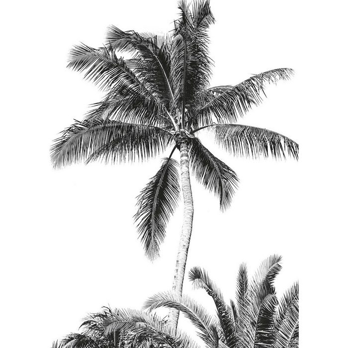 Komar Fototapete Retro Palm glatt Comic Retro bedruckt mehrfarbig BxH: 200x280 cm