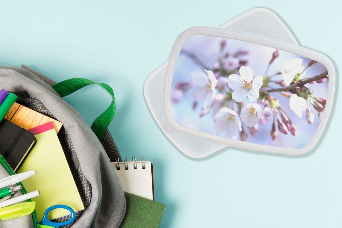 Brotdose, für und (2-tlg), Erwachsene, Brotbox Mädchen Zweig, - Kunststoff, für Lunchbox Jungs - MuchoWow weiß Sakura Kinder und Blumen