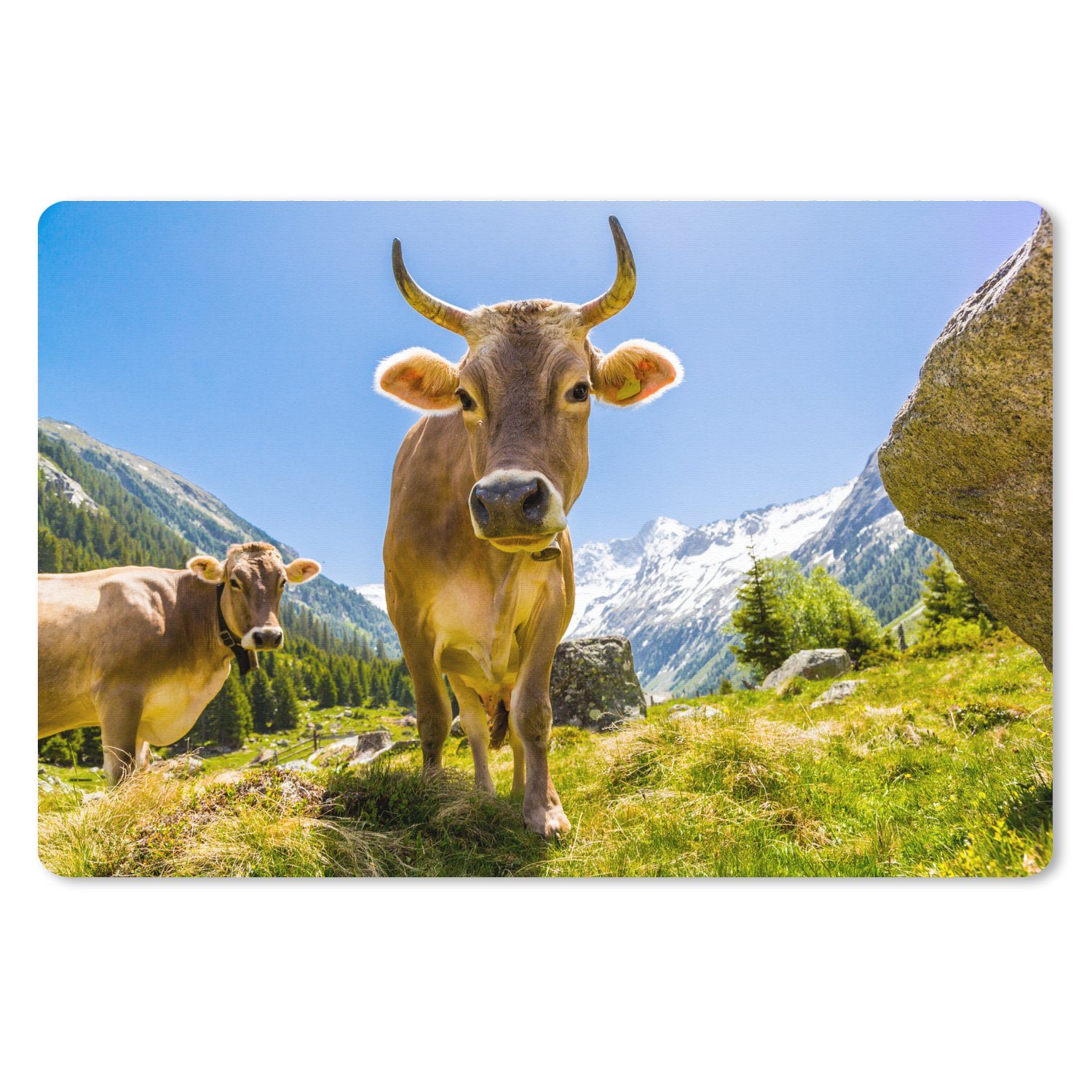 MuchoWow Mauspad Kühe - Sonne - Österreich (1-St), Mousepad XXL für Tastatur und Maus, Gaming Setup, Desk Mat, 120x80 cm