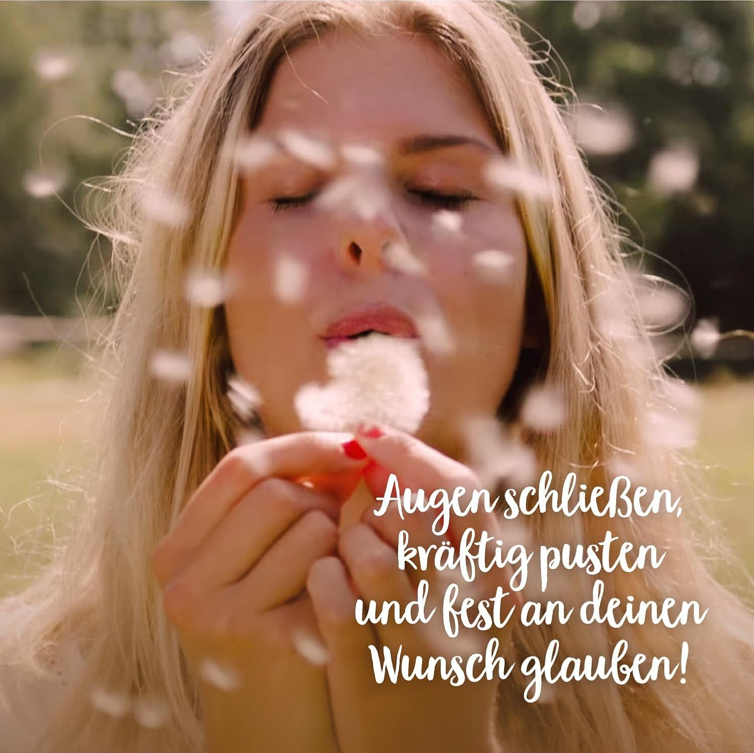 Trockenblume Wunscherfüller, Perfekte Geschenkidee für jeden Anlass Pusteblume, Die Stadtgärtner, Echte Pusteblume – Bild 4 von 5
