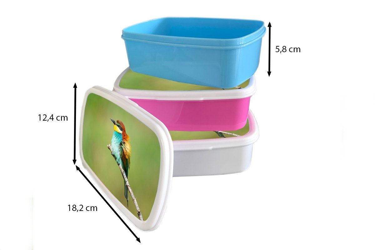 und Bienenfresser, Kunststoff, Brotdose, und MuchoWow Kinder Brotbox - Vogel für Erwachsene, Tiere Lunchbox (2-tlg), weiß für - Jungs Mädchen