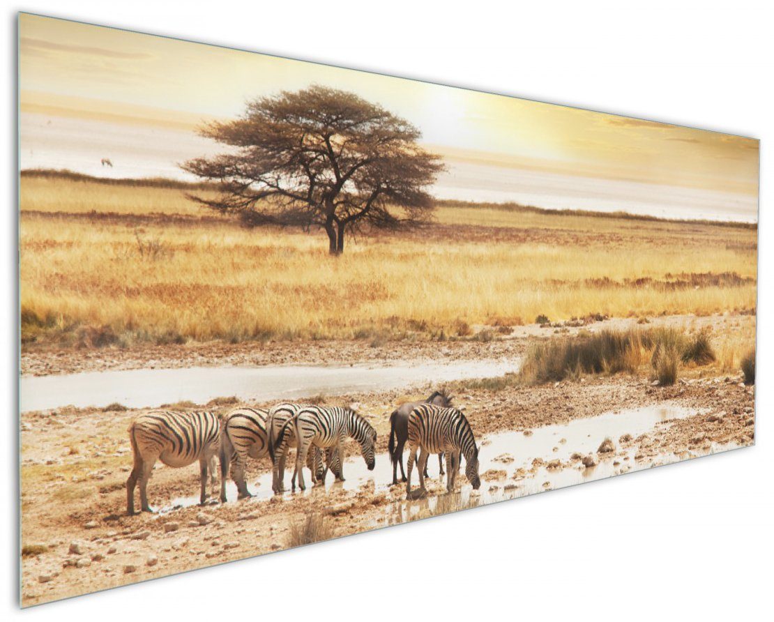 Wallario Küchenrückwand Safari in Afrika eine Herde Zebras am Wasser, (1-tlg)