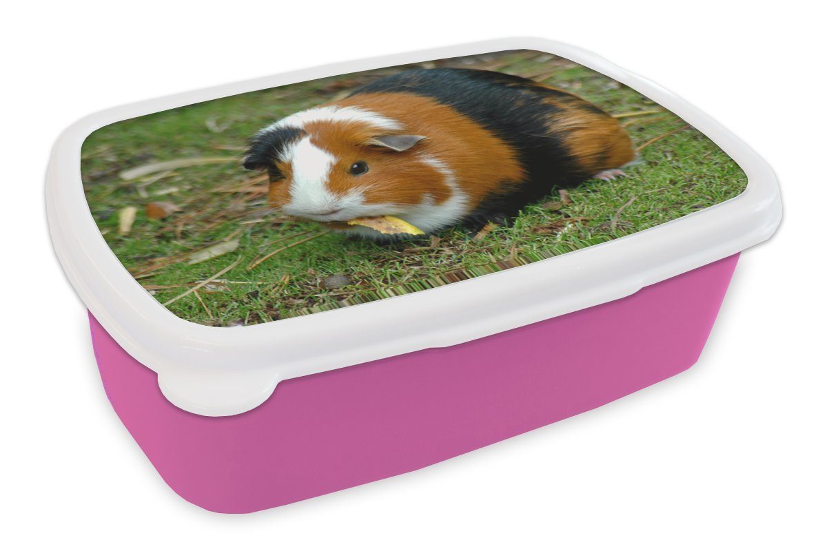MuchoWow Lunchbox Meerschweinchen Brotbox Erwachsene, rosa (2-tlg), für draußen, Kunststoff, Brotdose Kunststoff Kinder, Snackbox, Mädchen