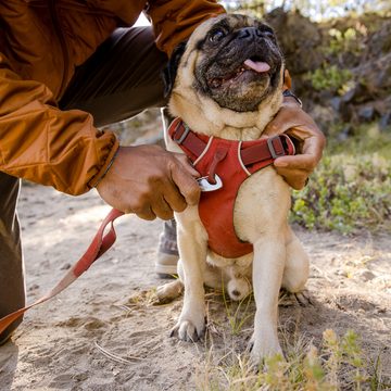 Ruffwear Hundeleine FRONT RANGE™ LEASH 40752-609, Leine für alltägliche Abenteuer