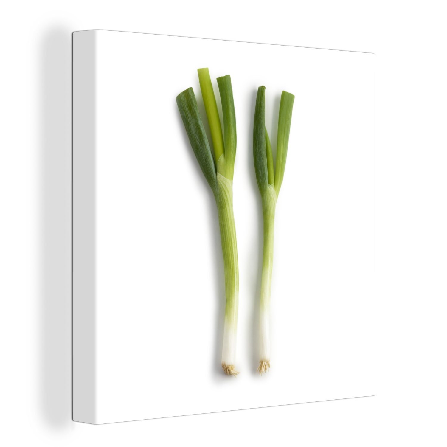 OneMillionCanvasses® Leinwandbild Zwei Frühlingszwiebeln vor einem weißen Hintergrund, (1 St), Leinwand Bilder für Wohnzimmer Schlafzimmer