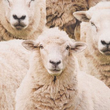 SCHÖNER LEBEN. Stoff Dekostoff Baumwollstoff Halbpanama Sheep Flock Schafherde beige 1,40m, Digitaldruck
