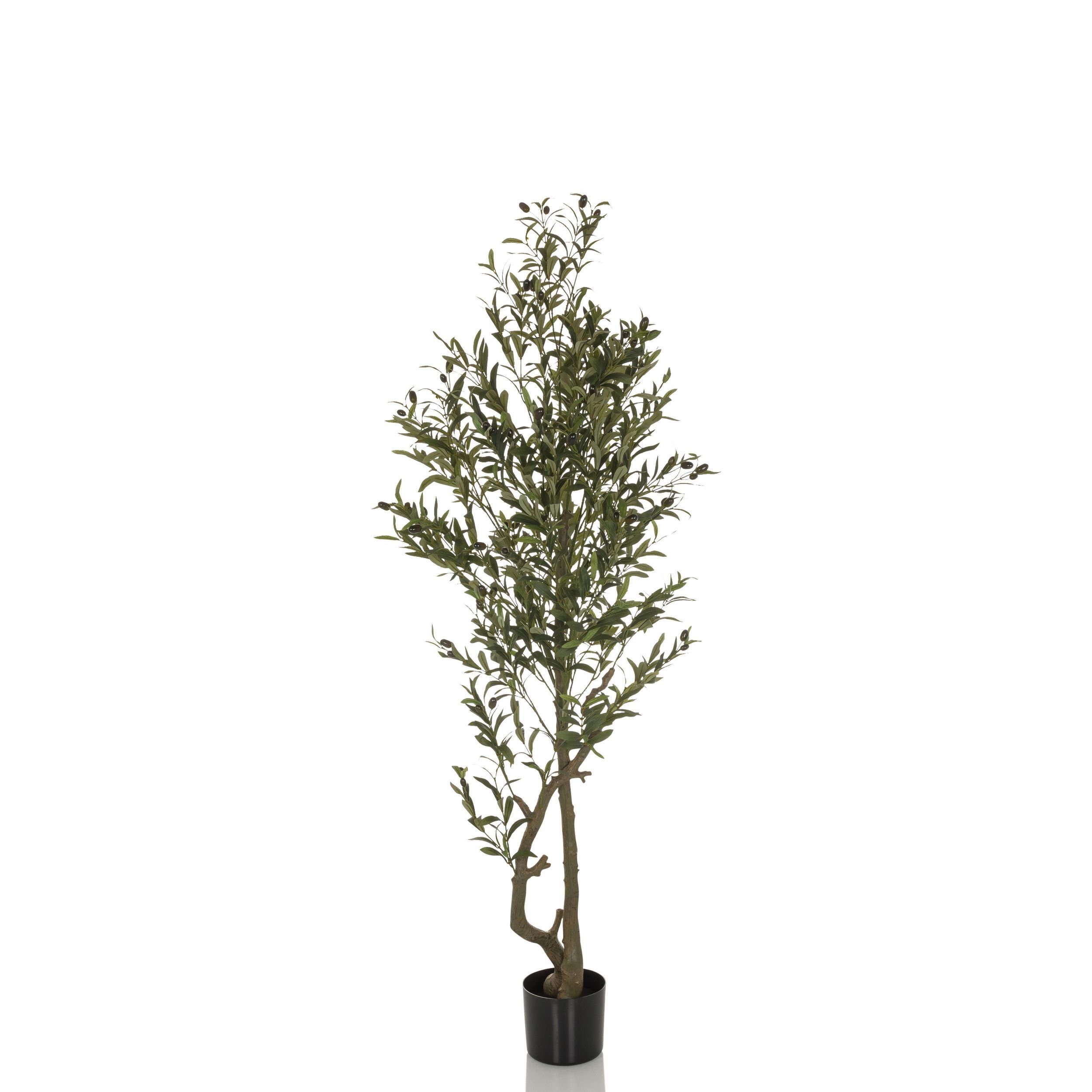 Künstliche Zimmerpflanze Deko Pflanzen, bümö, Höhe 172 cm, Kunstpflanze: Olive groß / Olivenbaum für innen- und außen Olivenbaum groß