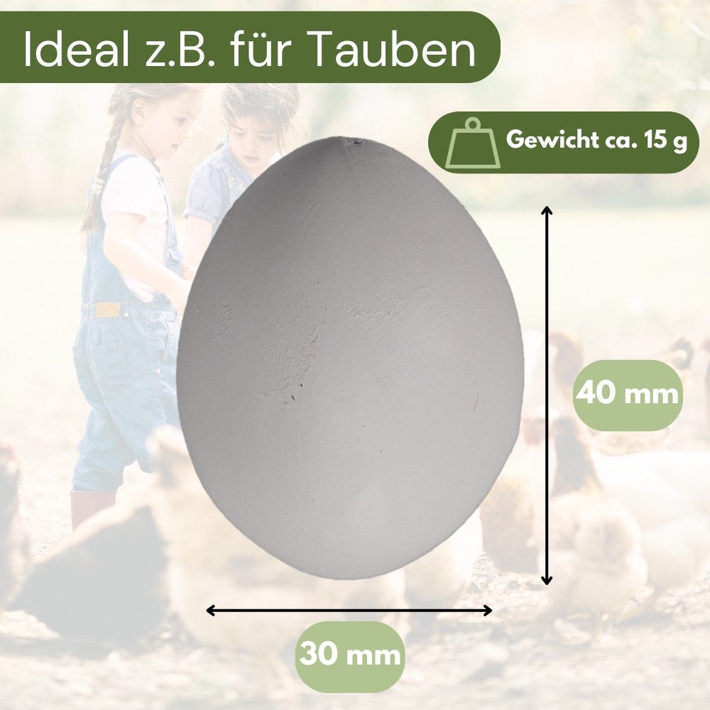 GarPet Nistkasten 6x Legeeier Kunsteier Nesteier Gipseier Taubeneier 15gr 40x30 mm